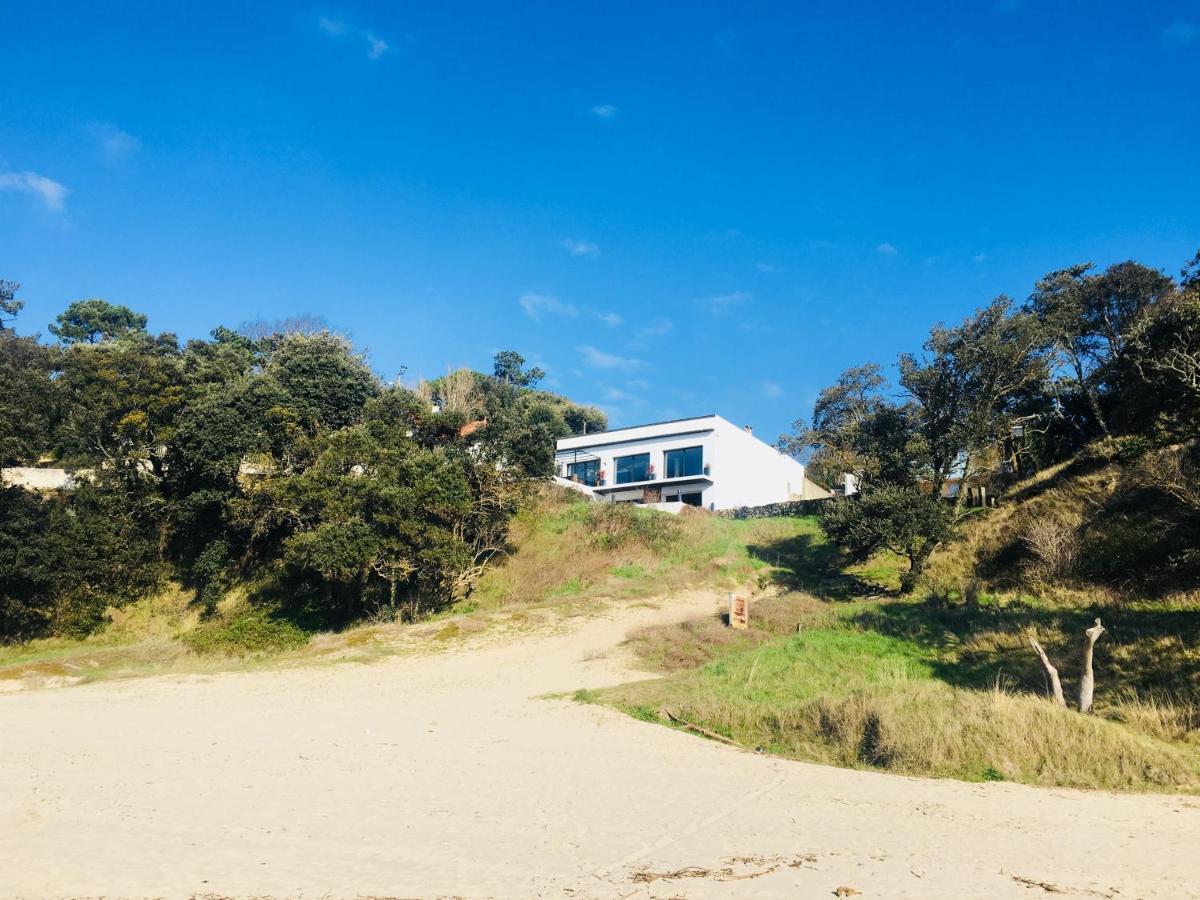 Chambre D'Hote Le Dauphin Meschers-sur-Gironde Εξωτερικό φωτογραφία